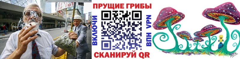 Галлюциногенные грибы Psilocybe  Полтавская 